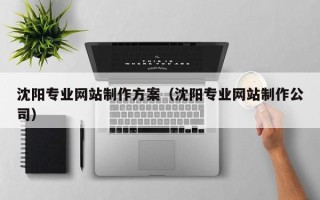 韶关沈阳专业网站制作方案（沈阳专业网站制作公司）